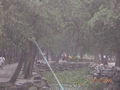 Летний дворец Picture 4