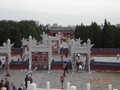 Picture 31