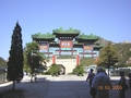 Picture 37