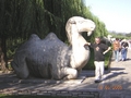 Picture 40
